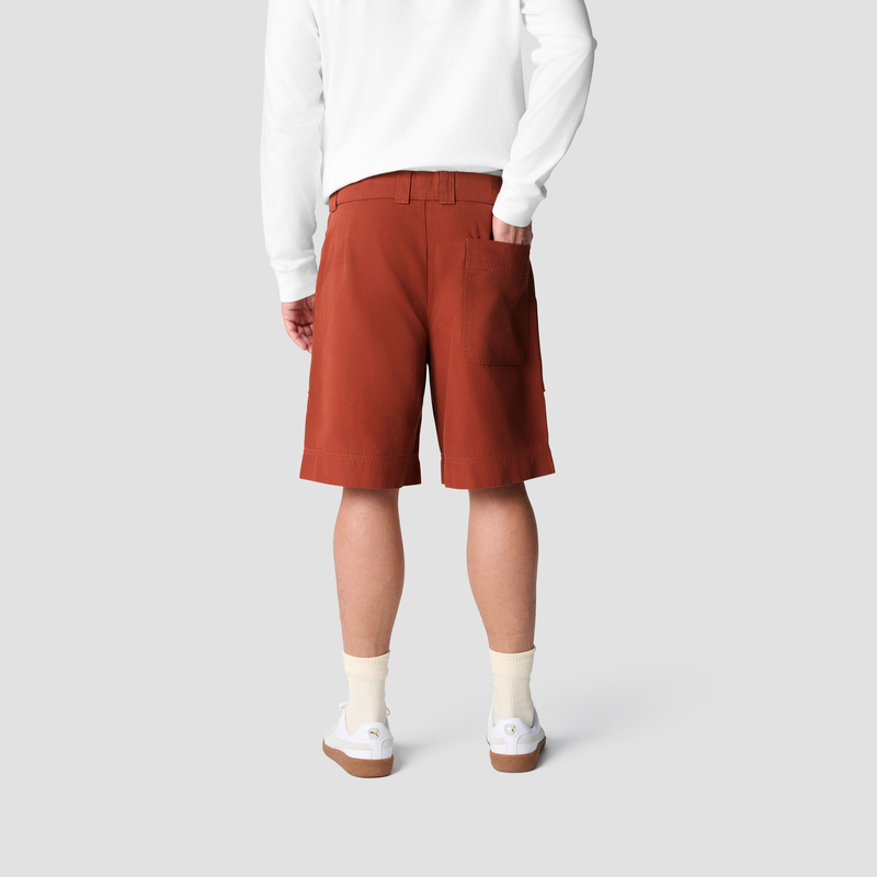 BMW Canvas shorts