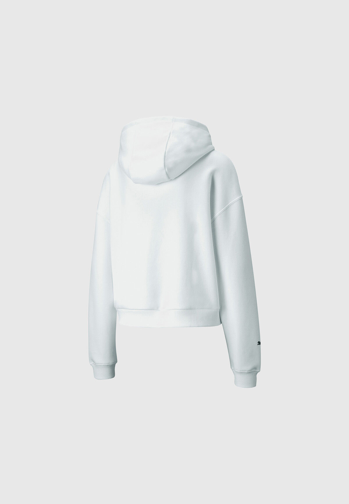 PUMA BMW M Motorsport Logo Hoodie 