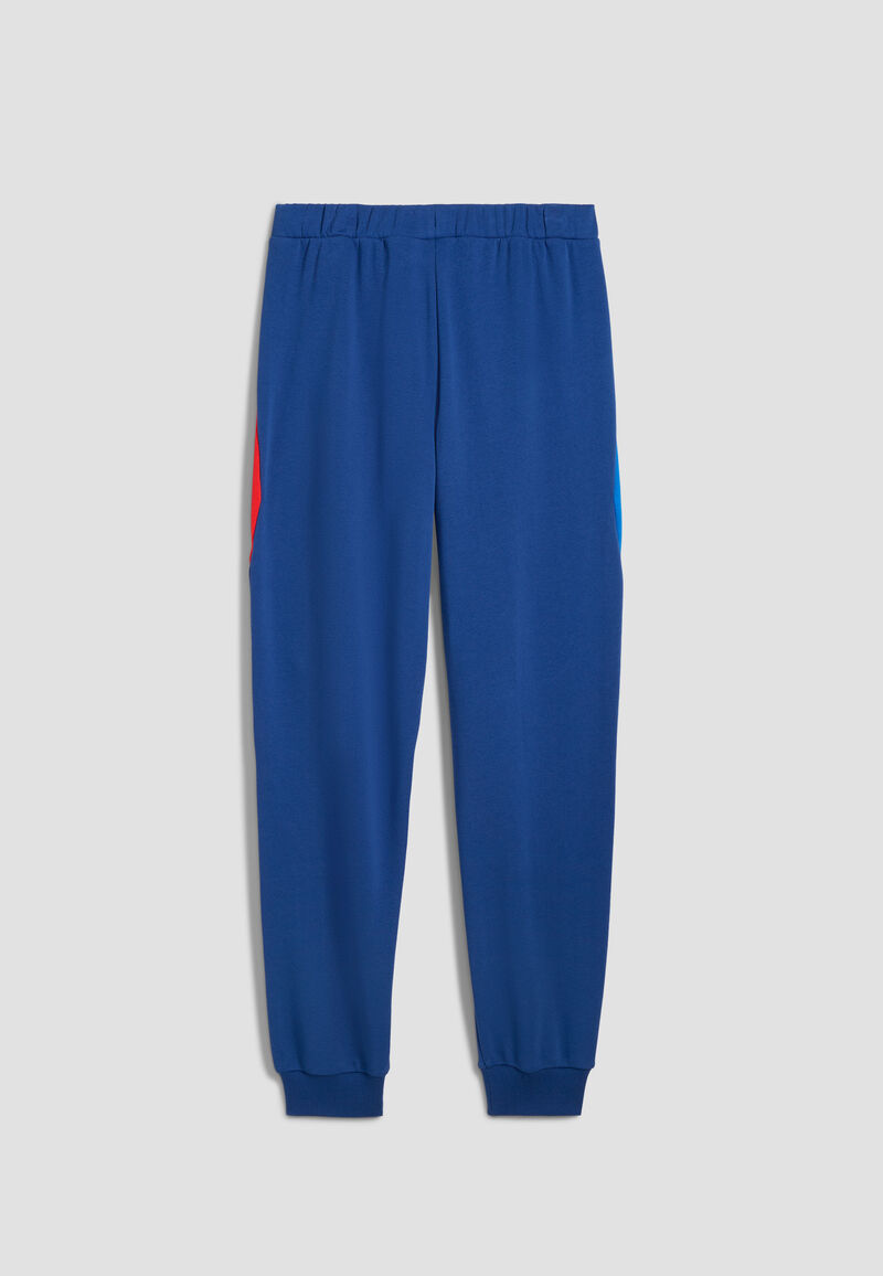 Puma BMW M Motorsport Regular Jogginghose