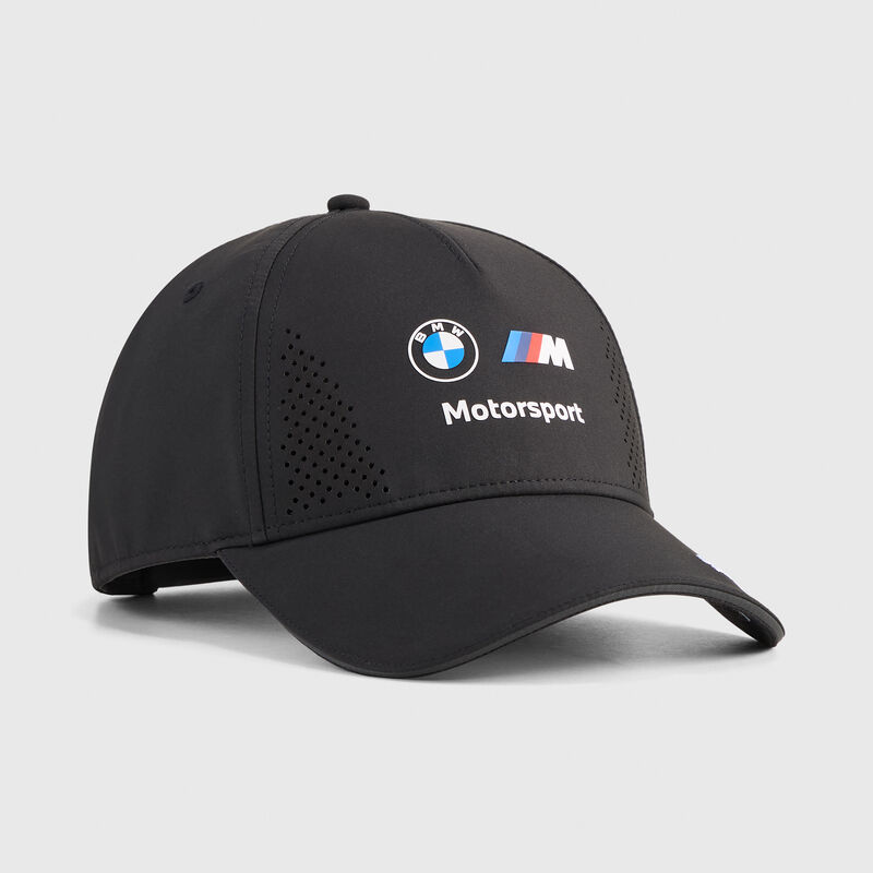 BMW M Motorsport Replica Team Pet